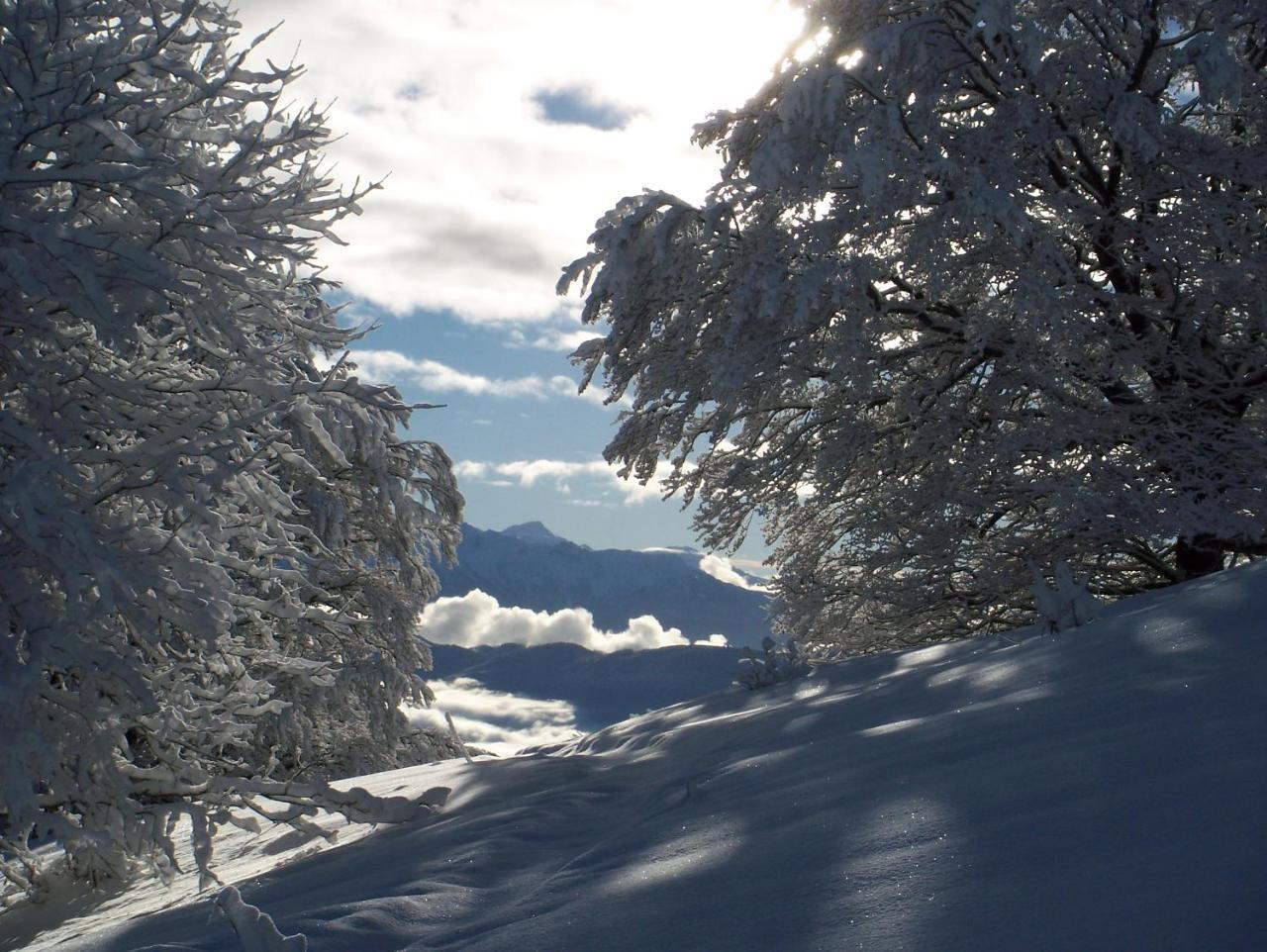Le Chalet Du Blanc Spa Yoga Aillon-le-Jeune Exteriér fotografie