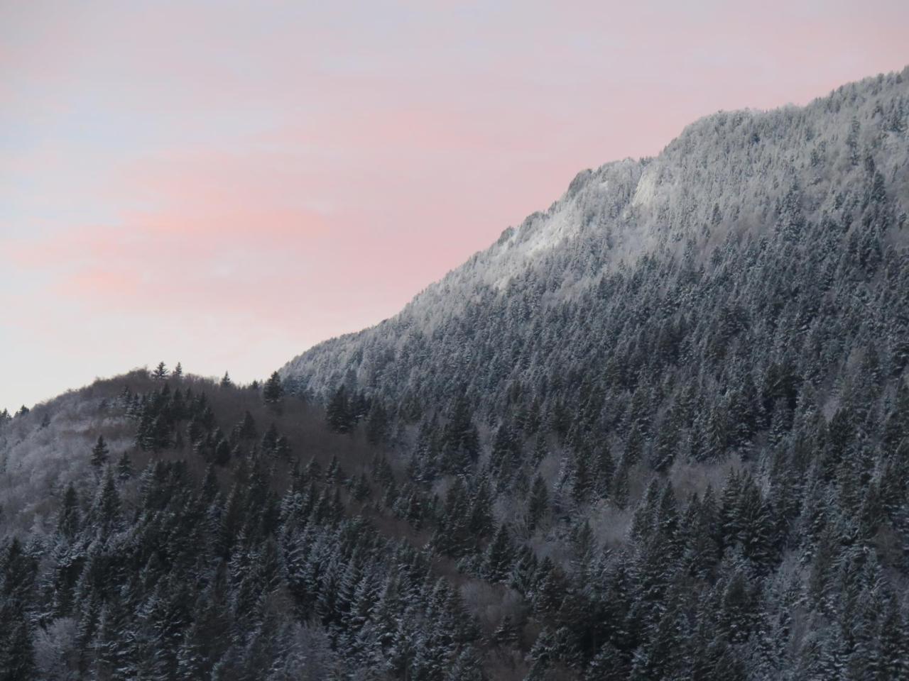 Le Chalet Du Blanc Spa Yoga Aillon-le-Jeune Exteriér fotografie